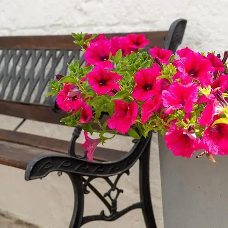 Il Trullo Moore ألبيروبيللو