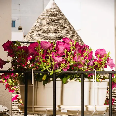 Il Trullo Moore